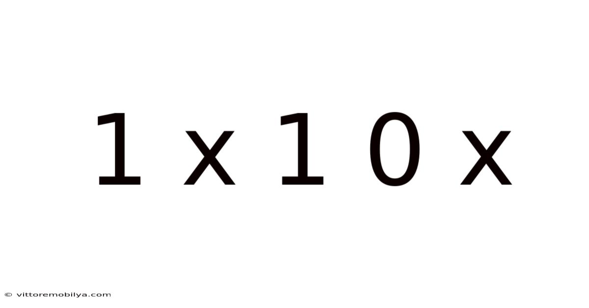 1 X 1 0 X