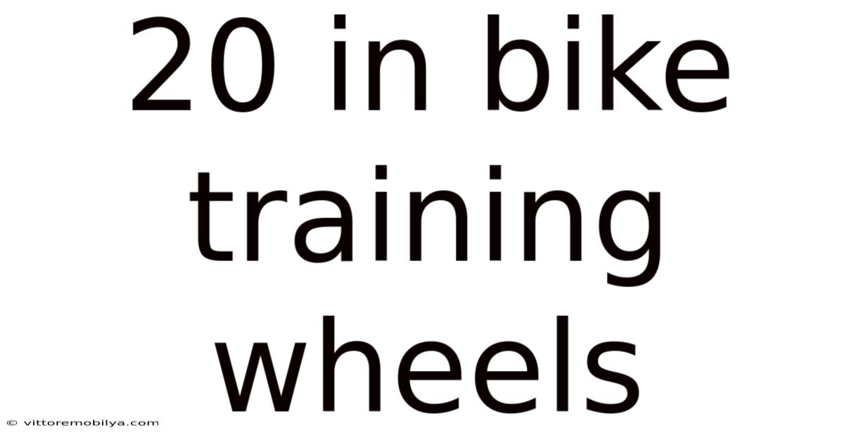 20 In Bike Training Wheels