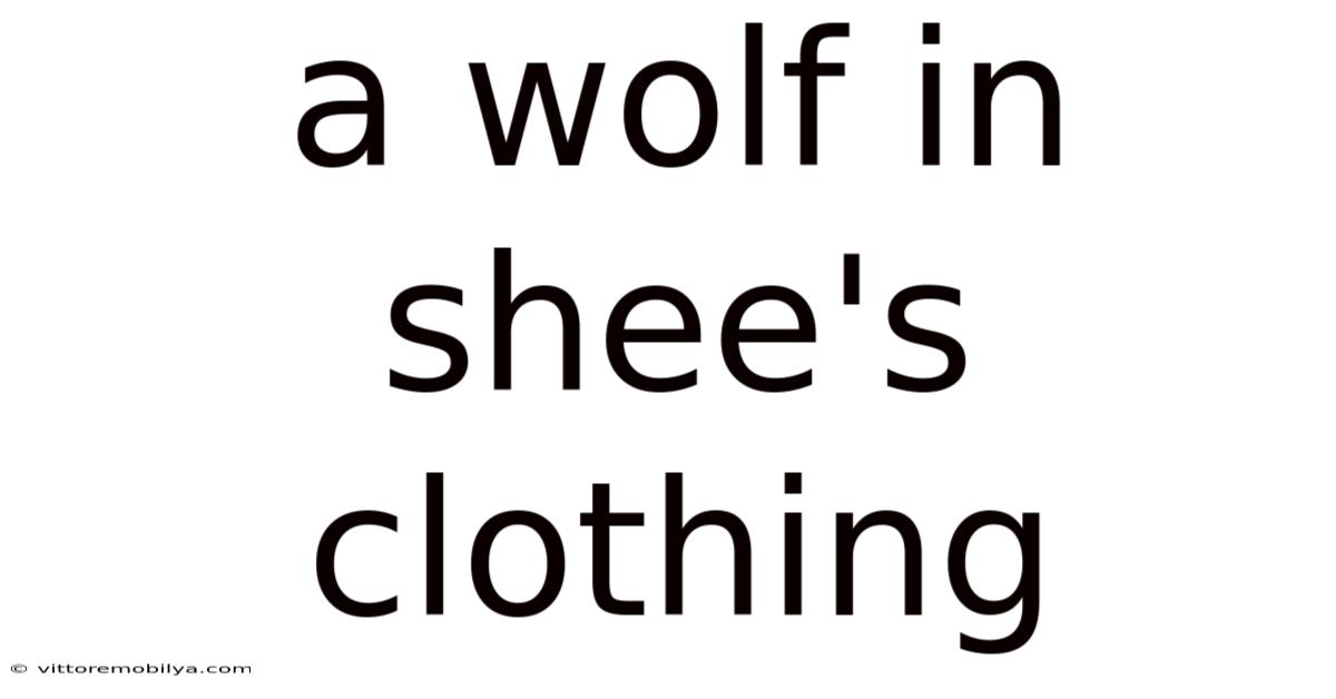 A Wolf In Shee's Clothing
