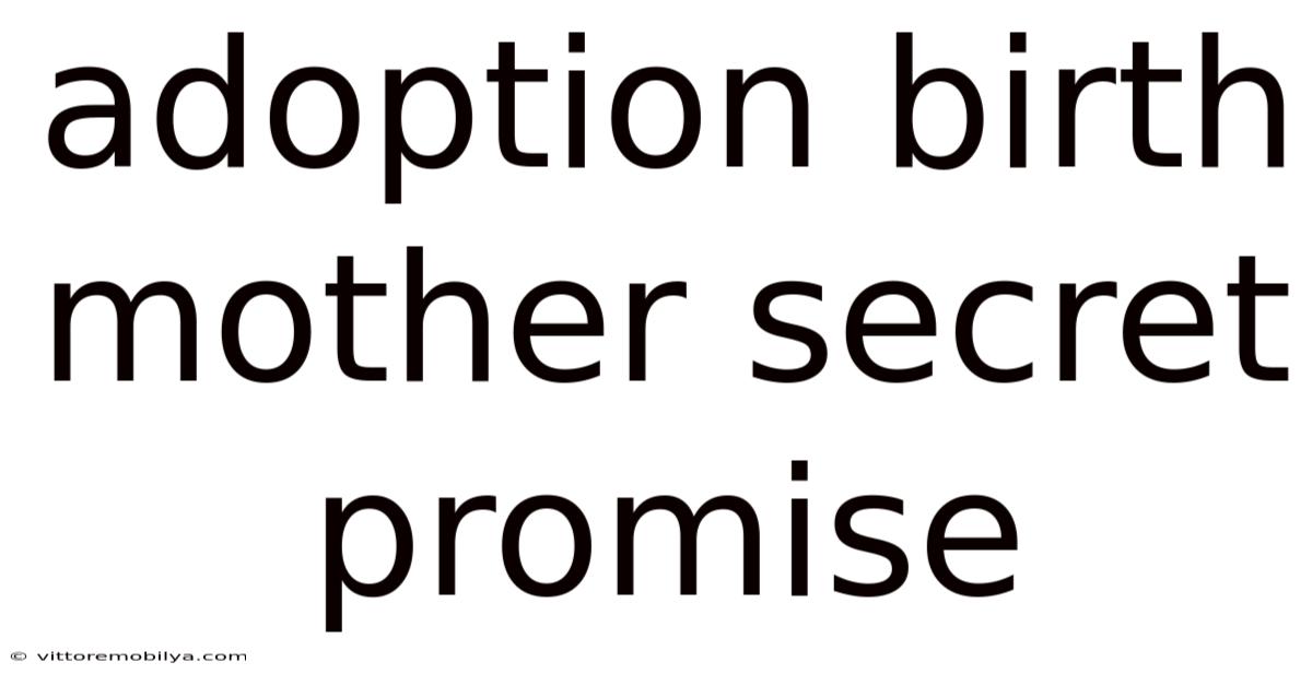 Adoption Birth Mother Secret Promise