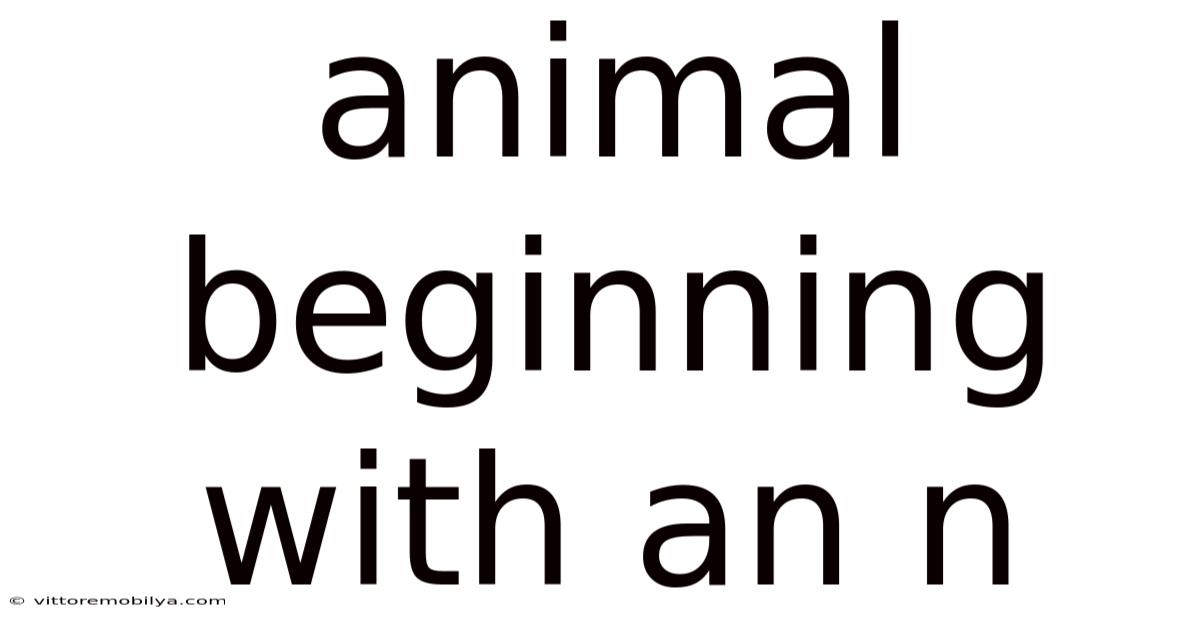 Animal Beginning With An N