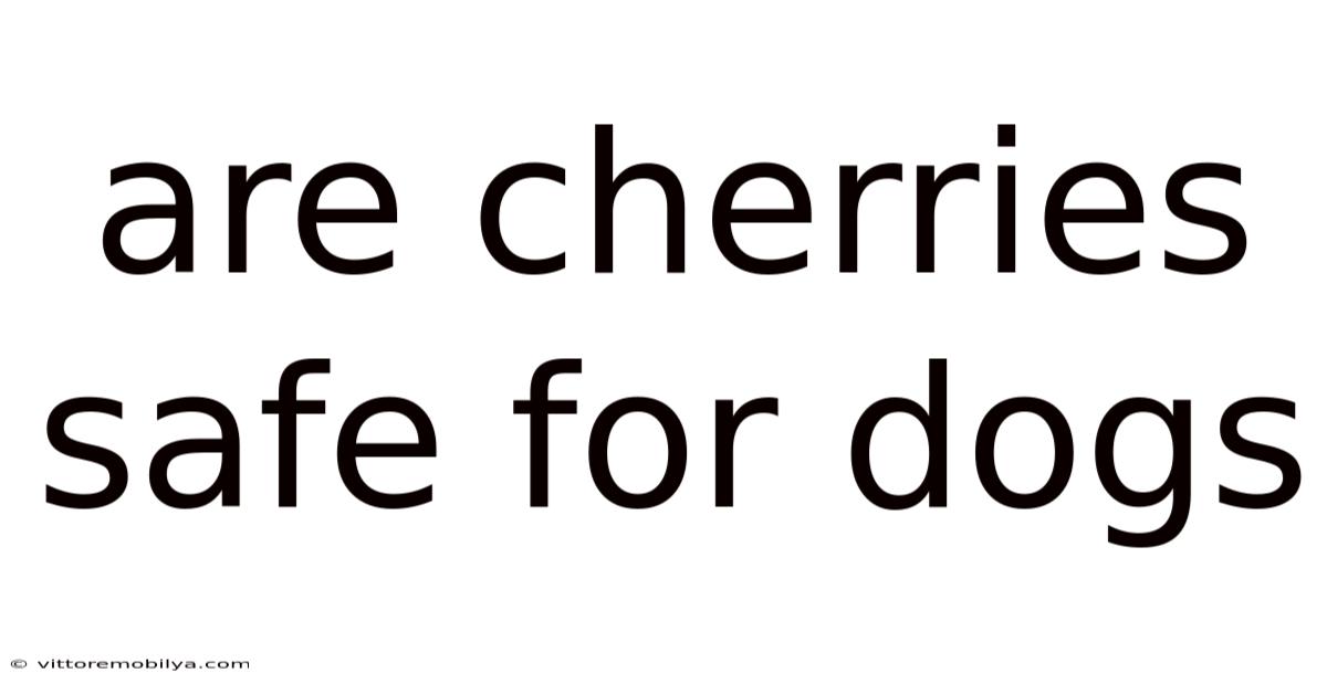 Are Cherries Safe For Dogs