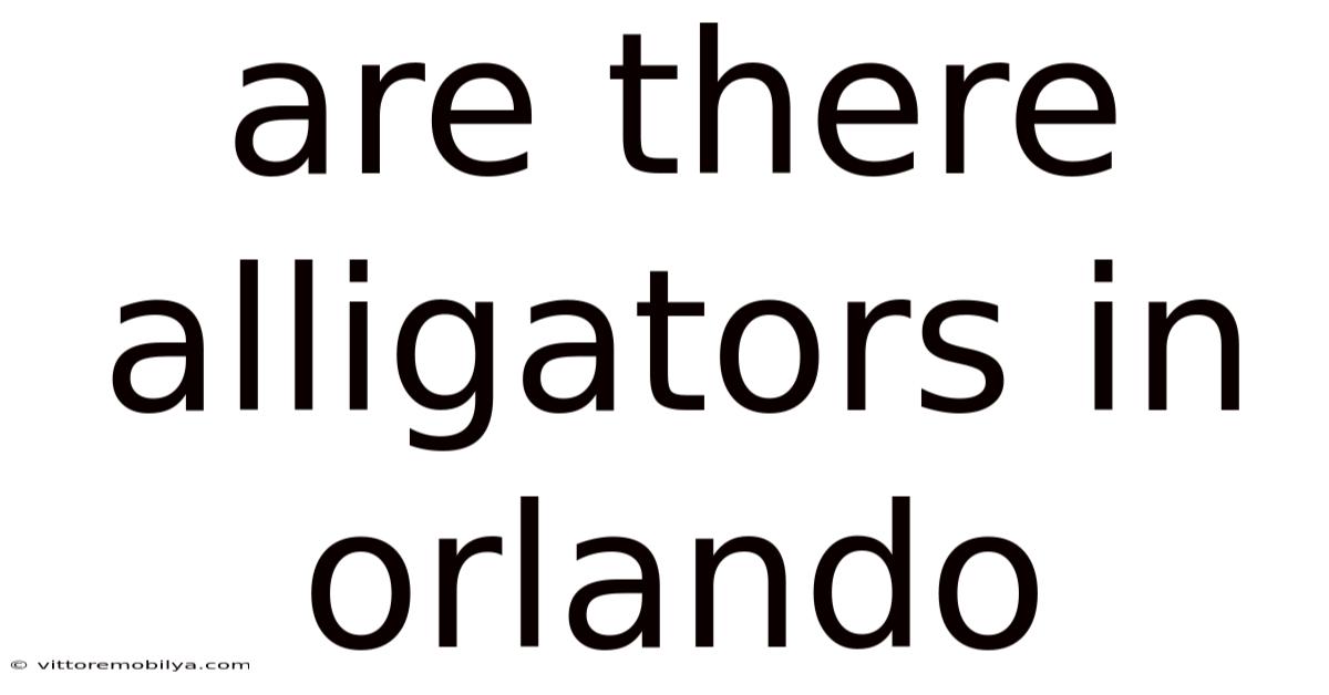 Are There Alligators In Orlando