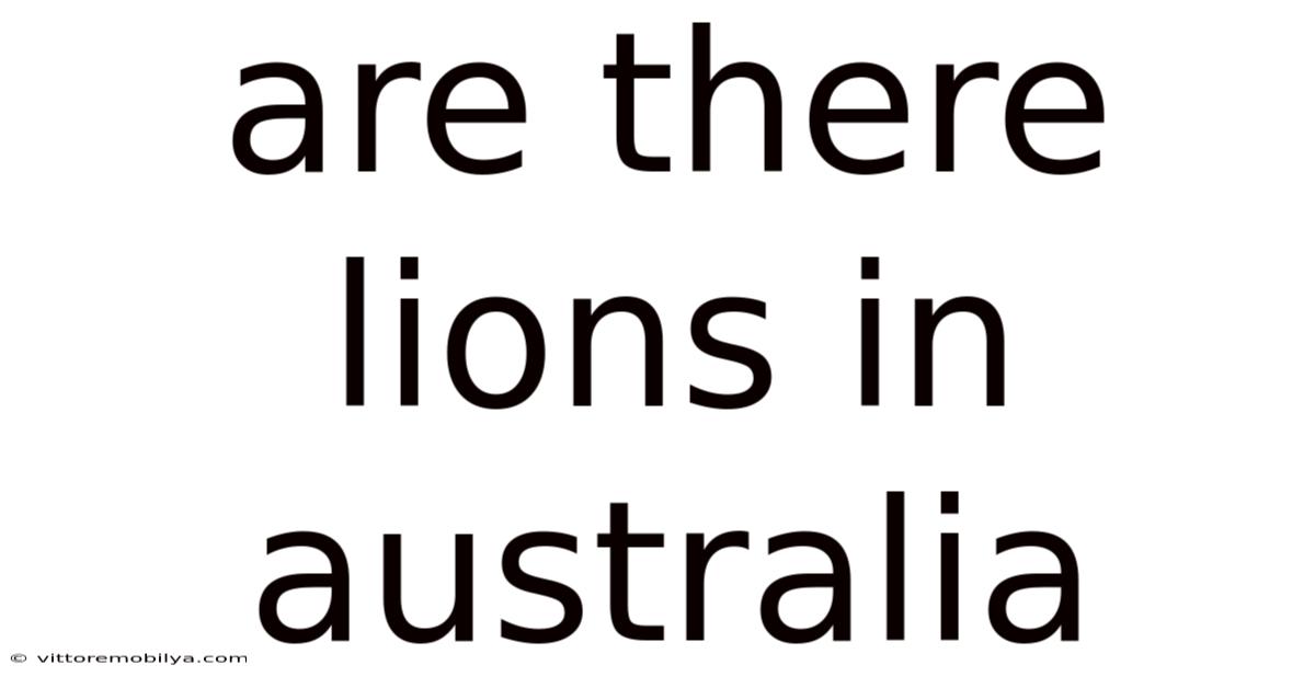 Are There Lions In Australia