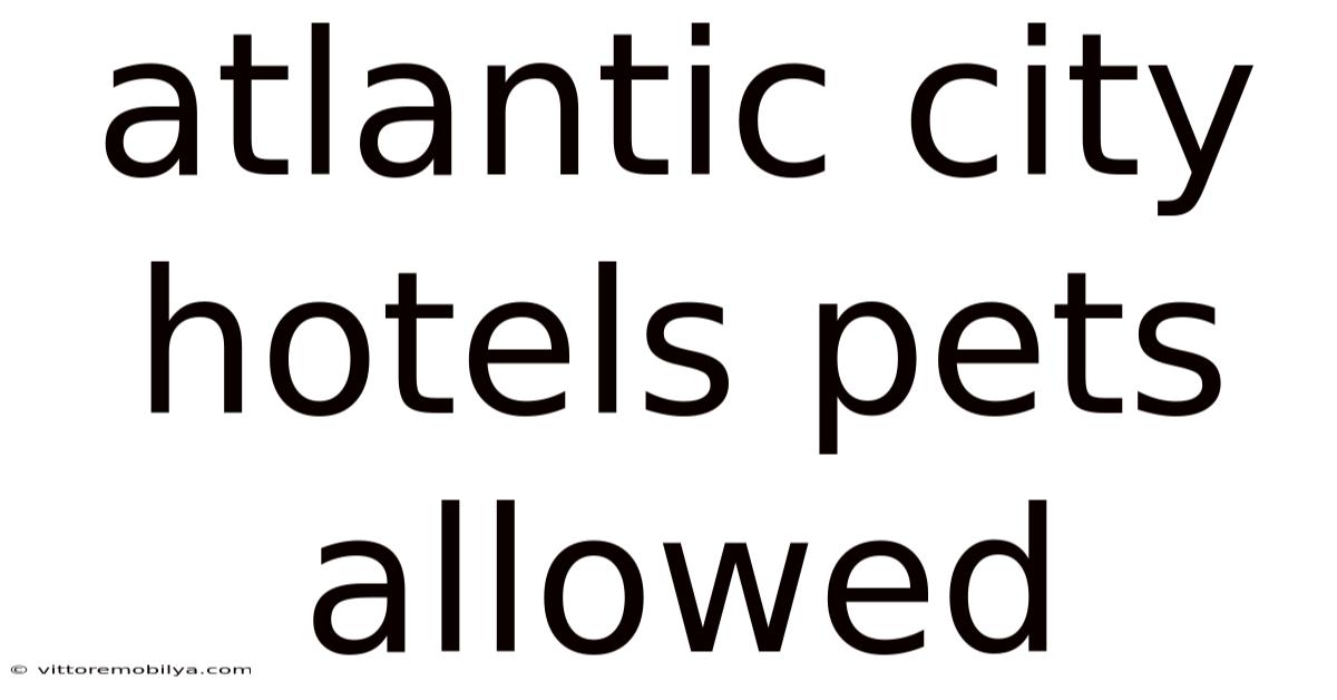 Atlantic City Hotels Pets Allowed