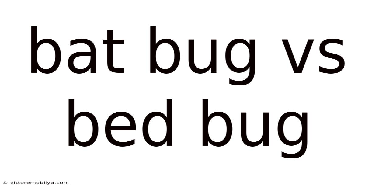 Bat Bug Vs Bed Bug