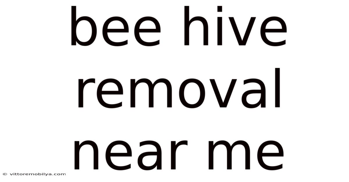 Bee Hive Removal Near Me