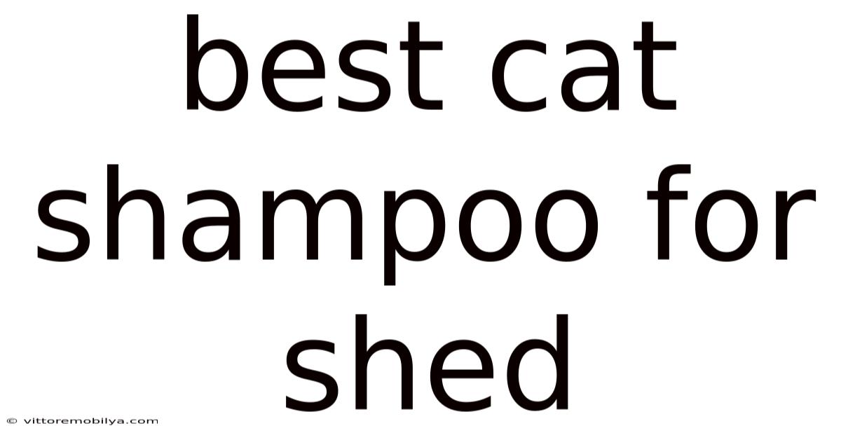Best Cat Shampoo For Shed