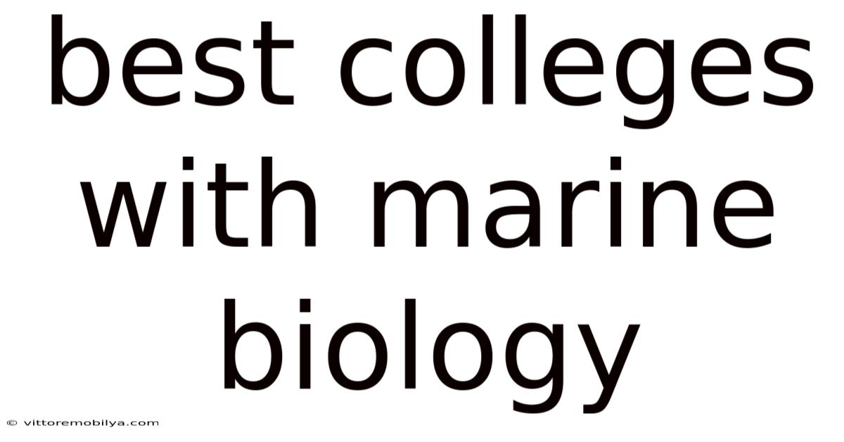 Best Colleges With Marine Biology