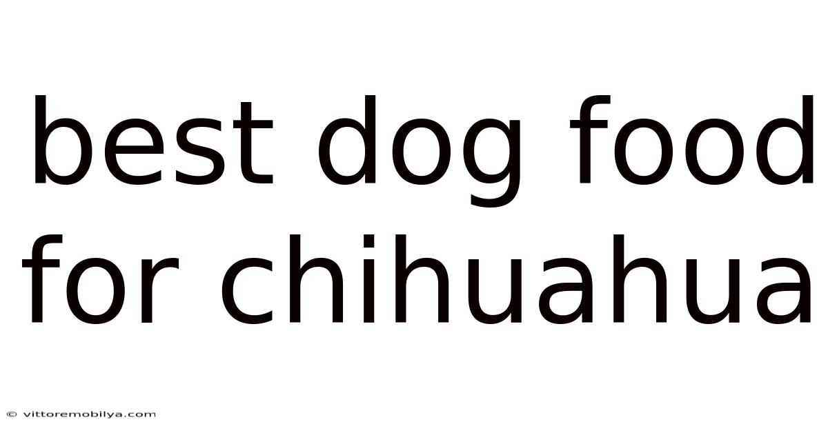 Best Dog Food For Chihuahua