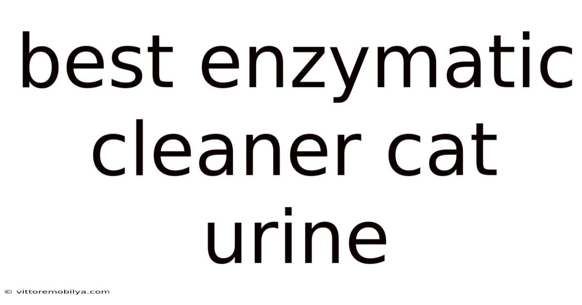 Best Enzymatic Cleaner Cat Urine