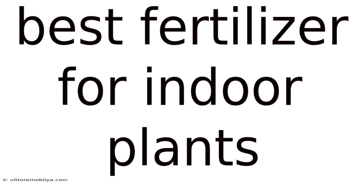 Best Fertilizer For Indoor Plants