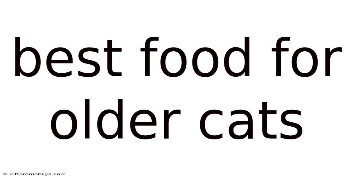 Best Food For Older Cats