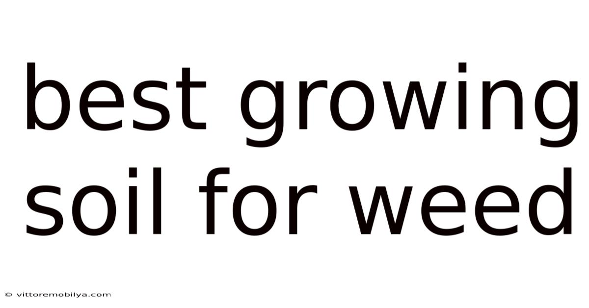 Best Growing Soil For Weed