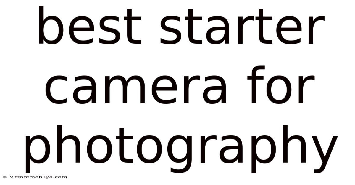 Best Starter Camera For Photography