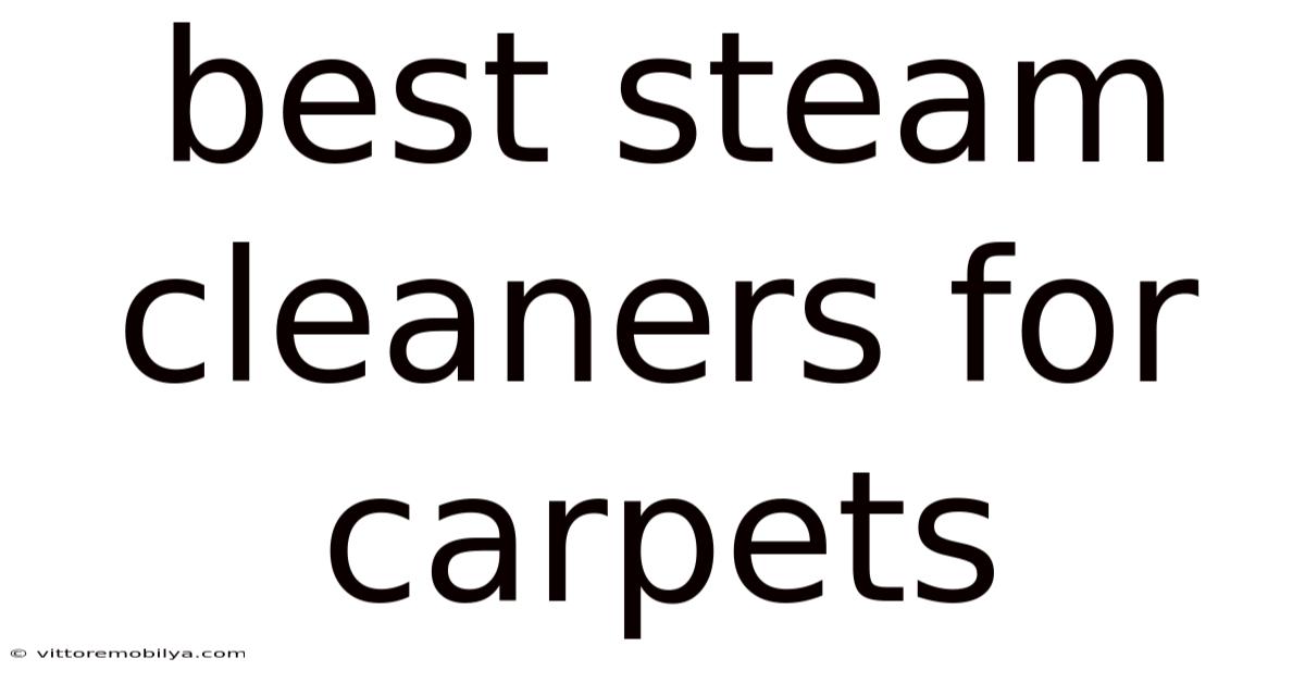 Best Steam Cleaners For Carpets