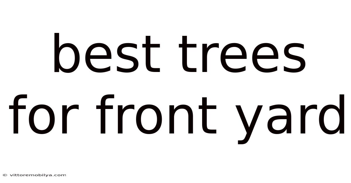 Best Trees For Front Yard
