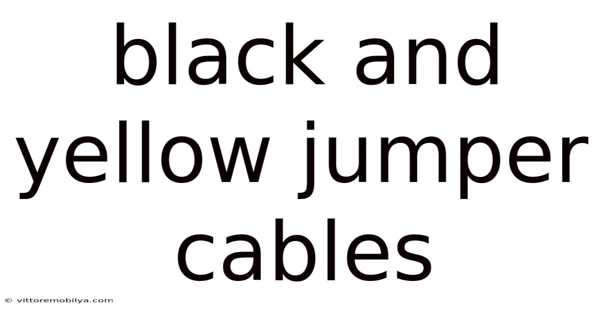 Black And Yellow Jumper Cables