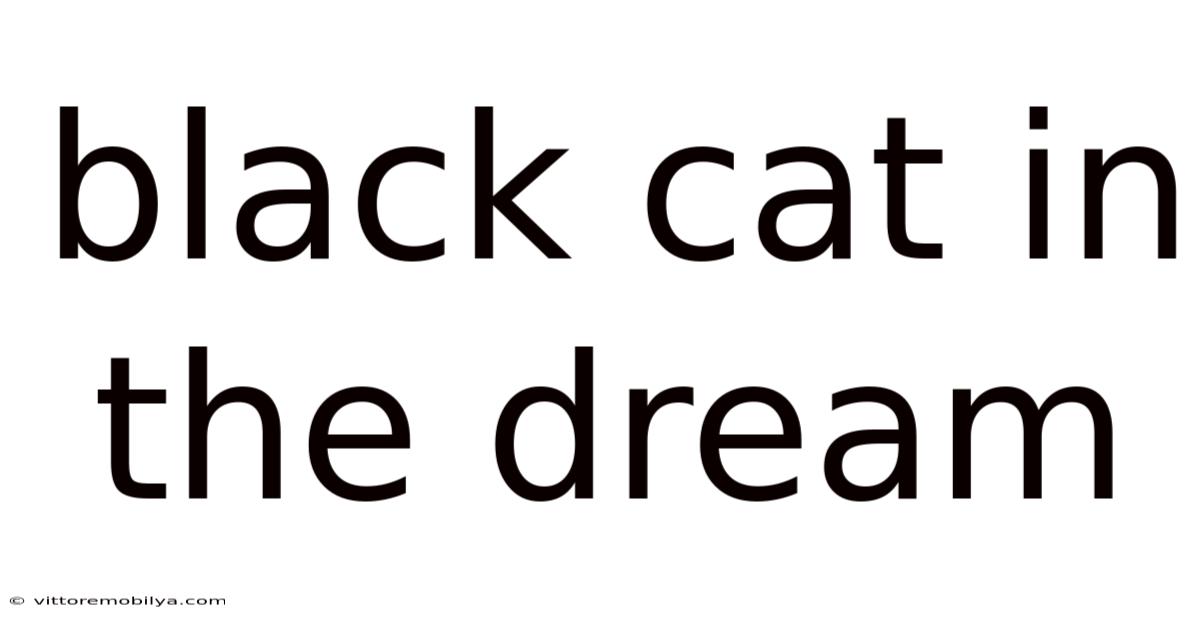 Black Cat In The Dream