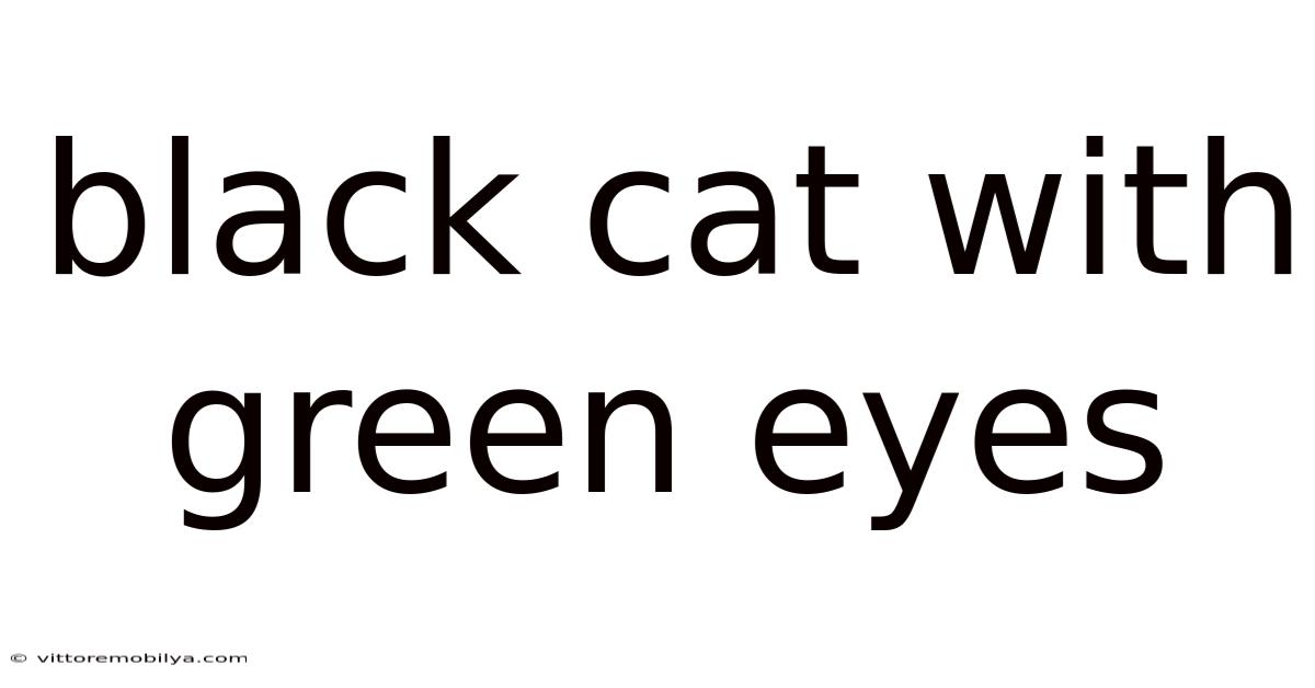 Black Cat With Green Eyes