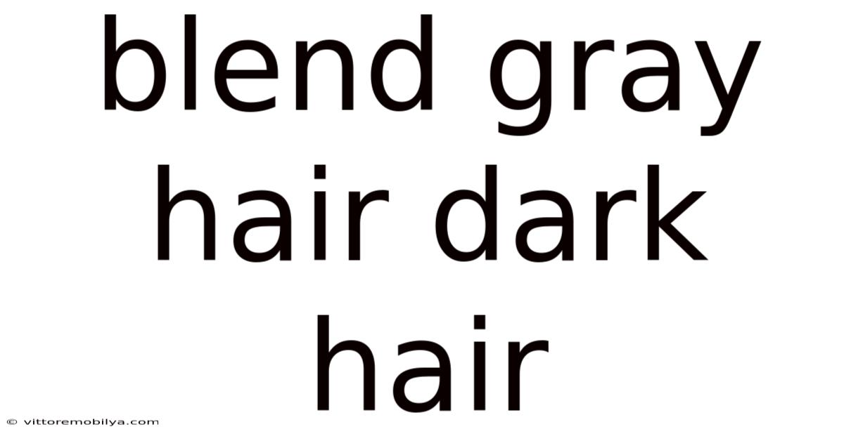 Blend Gray Hair Dark Hair