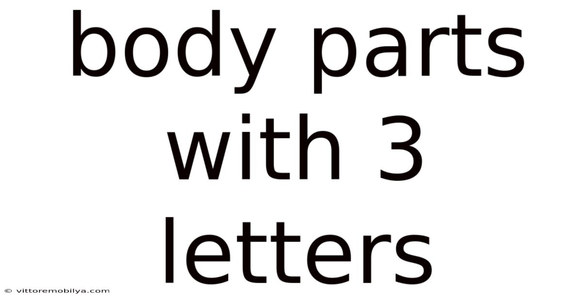 Body Parts With 3 Letters