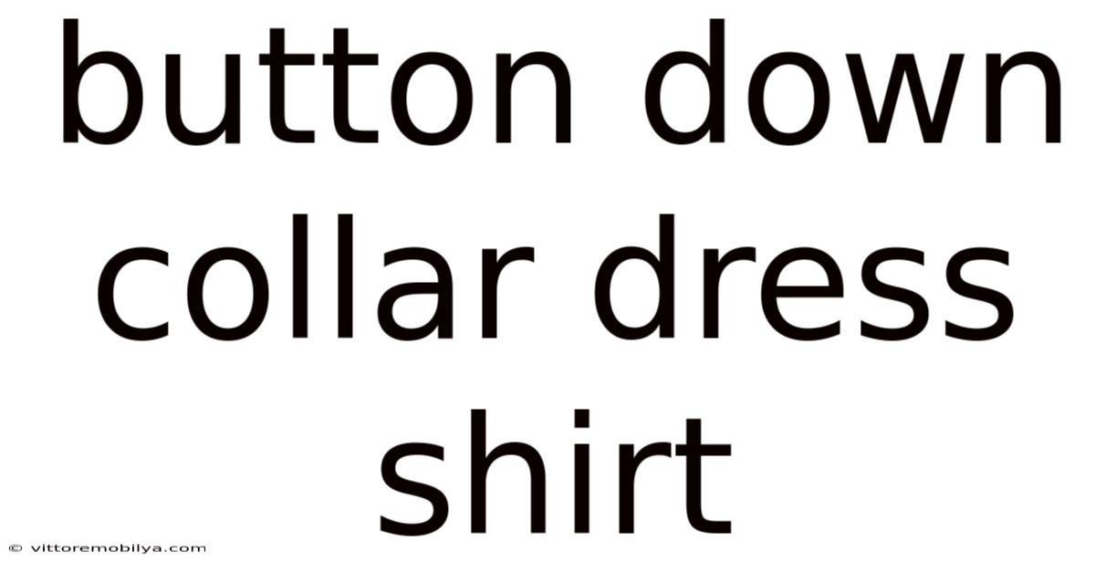 Button Down Collar Dress Shirt