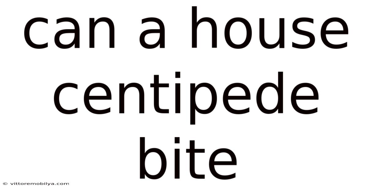 Can A House Centipede Bite