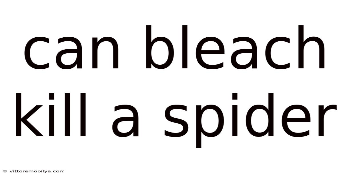 Can Bleach Kill A Spider