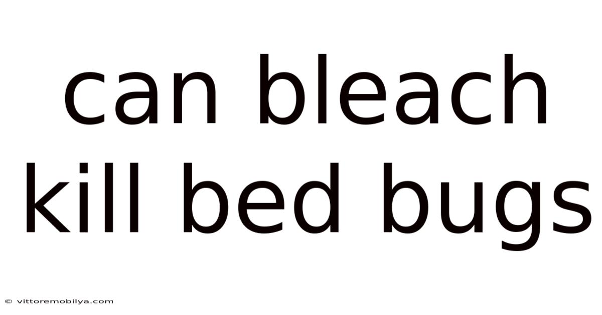 Can Bleach Kill Bed Bugs