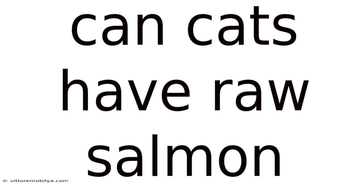 Can Cats Have Raw Salmon