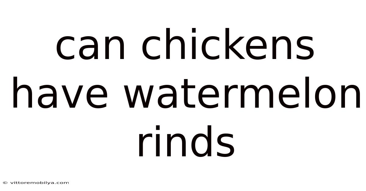 Can Chickens Have Watermelon Rinds