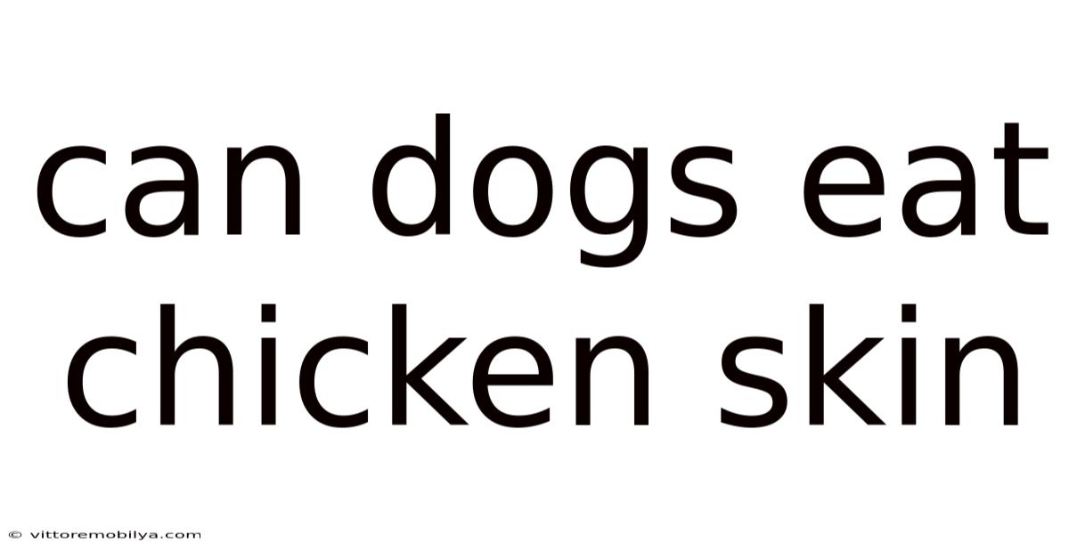 Can Dogs Eat Chicken Skin