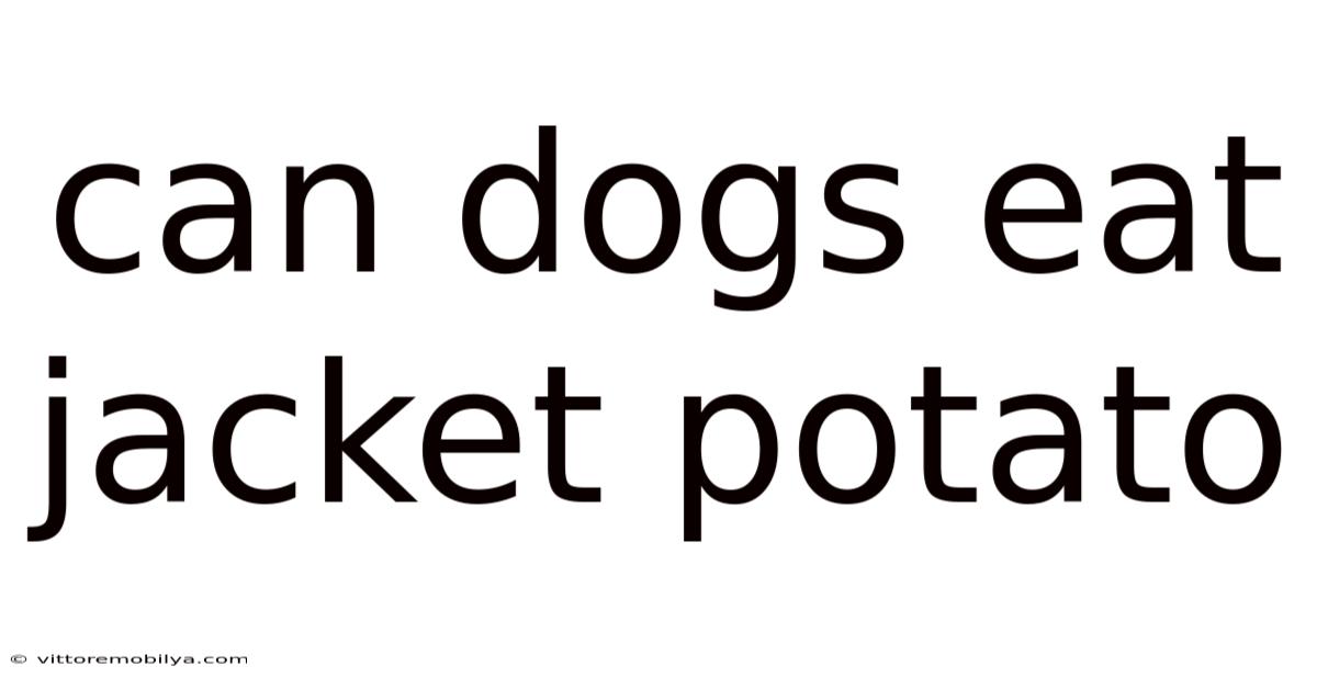 Can Dogs Eat Jacket Potato