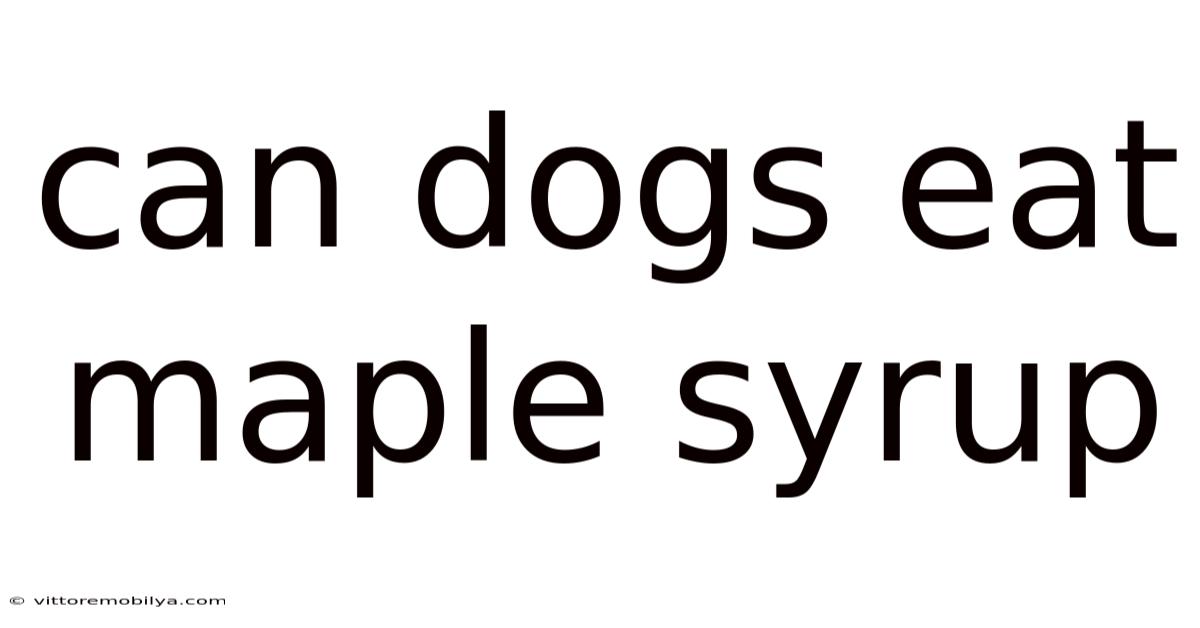 Can Dogs Eat Maple Syrup