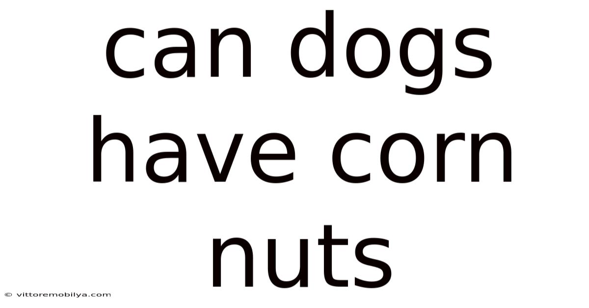Can Dogs Have Corn Nuts