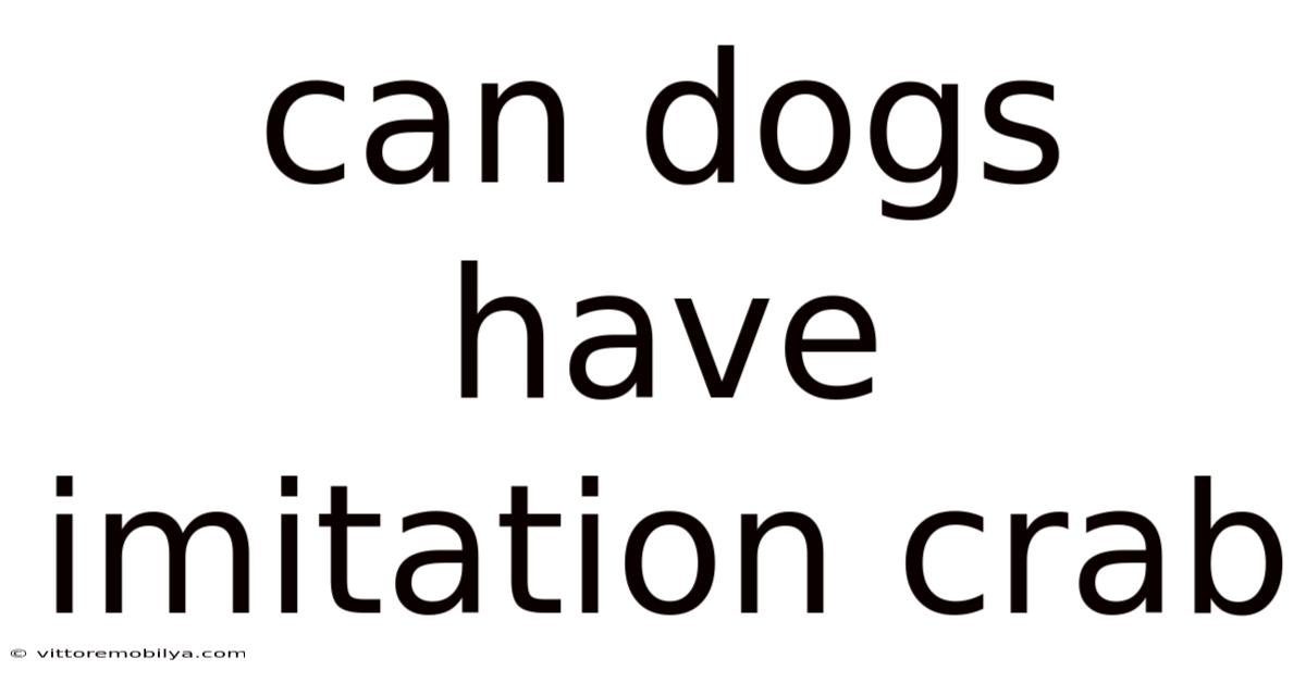 Can Dogs Have Imitation Crab
