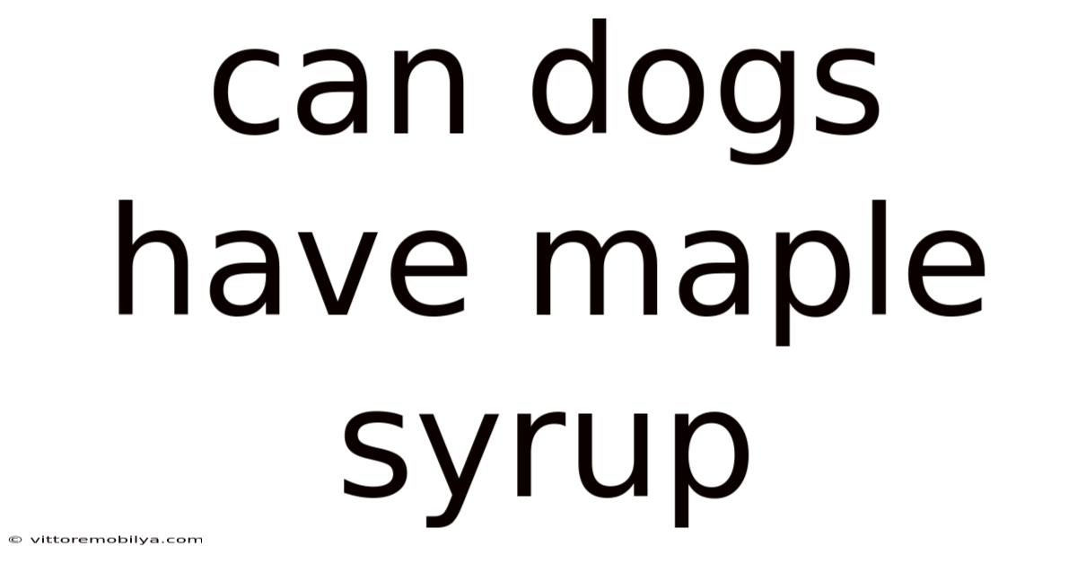 Can Dogs Have Maple Syrup