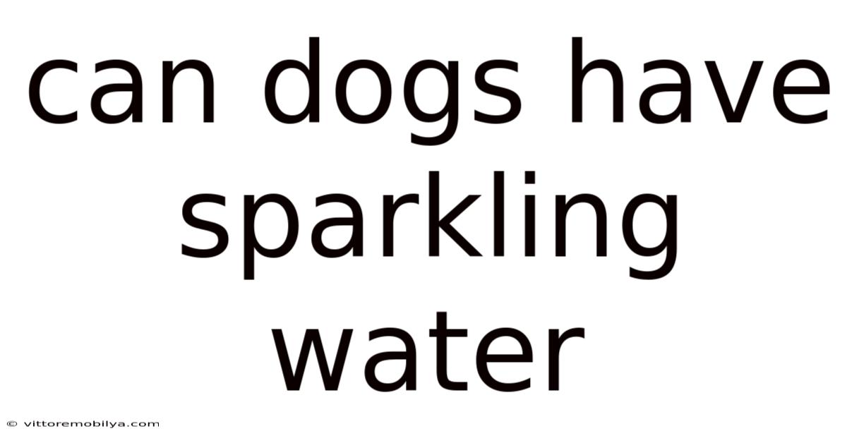Can Dogs Have Sparkling Water
