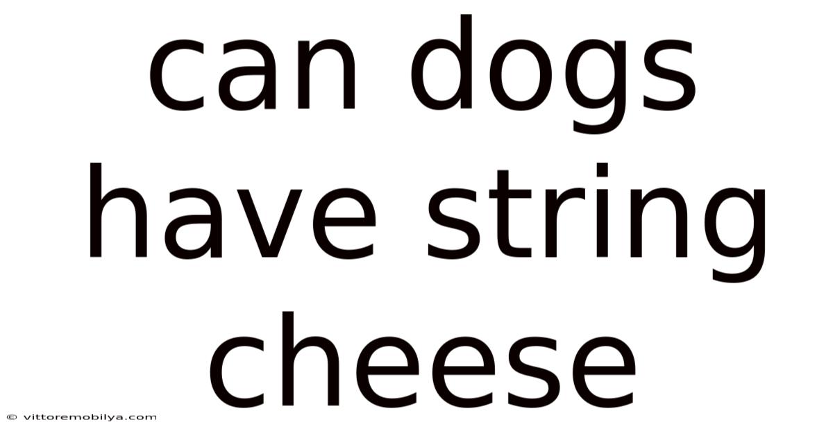 Can Dogs Have String Cheese