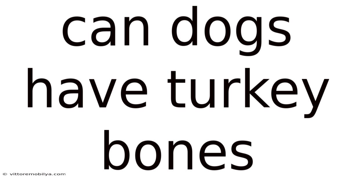 Can Dogs Have Turkey Bones