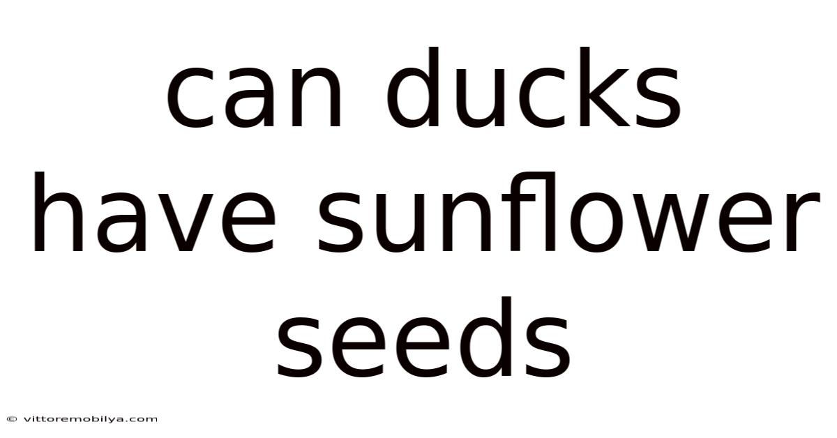 Can Ducks Have Sunflower Seeds