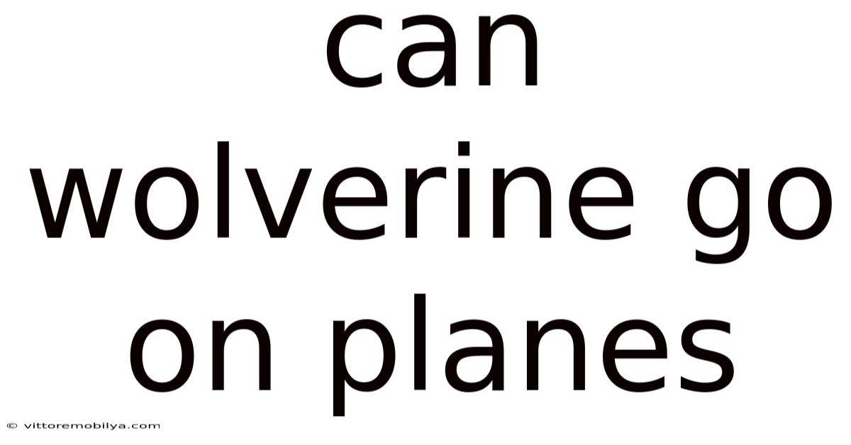 Can Wolverine Go On Planes