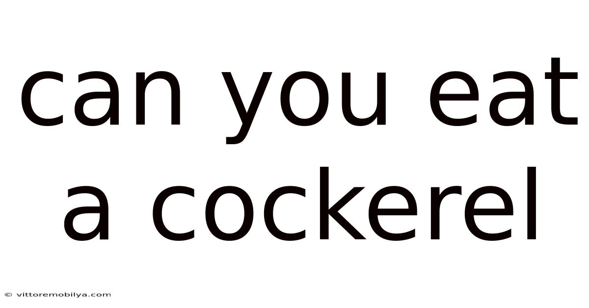 Can You Eat A Cockerel