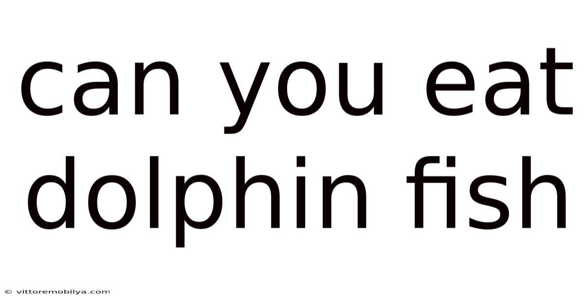 Can You Eat Dolphin Fish