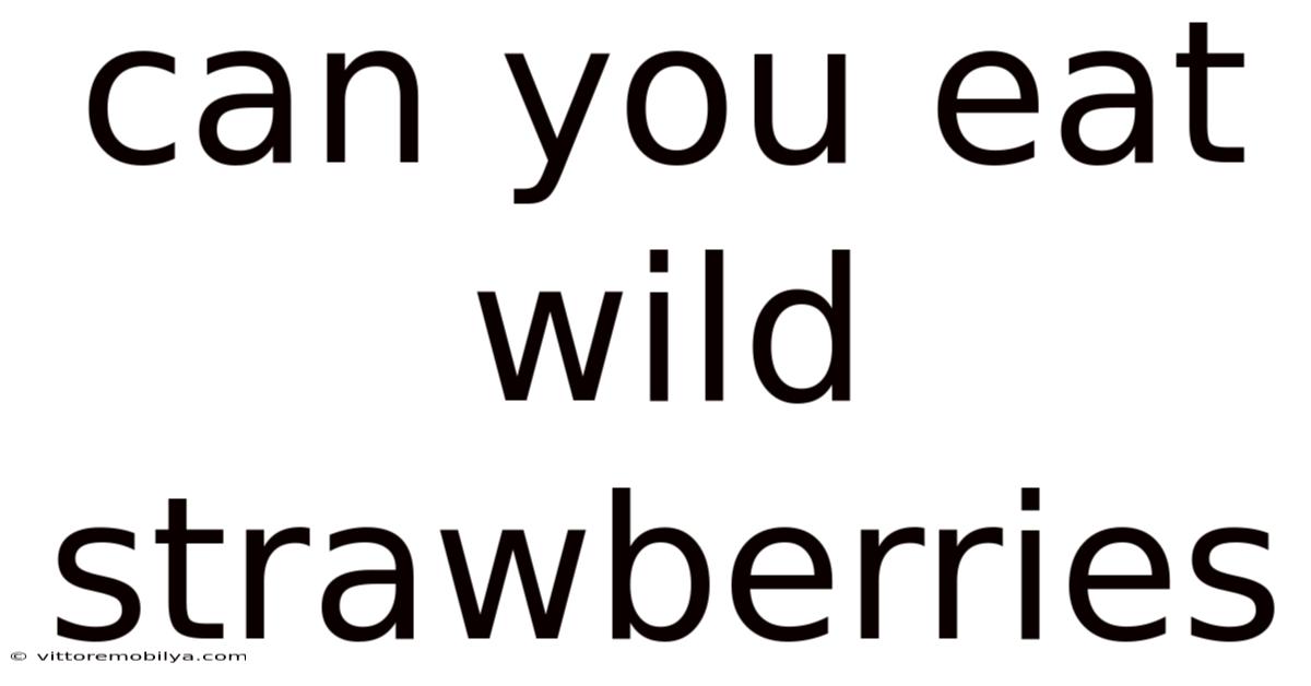 Can You Eat Wild Strawberries
