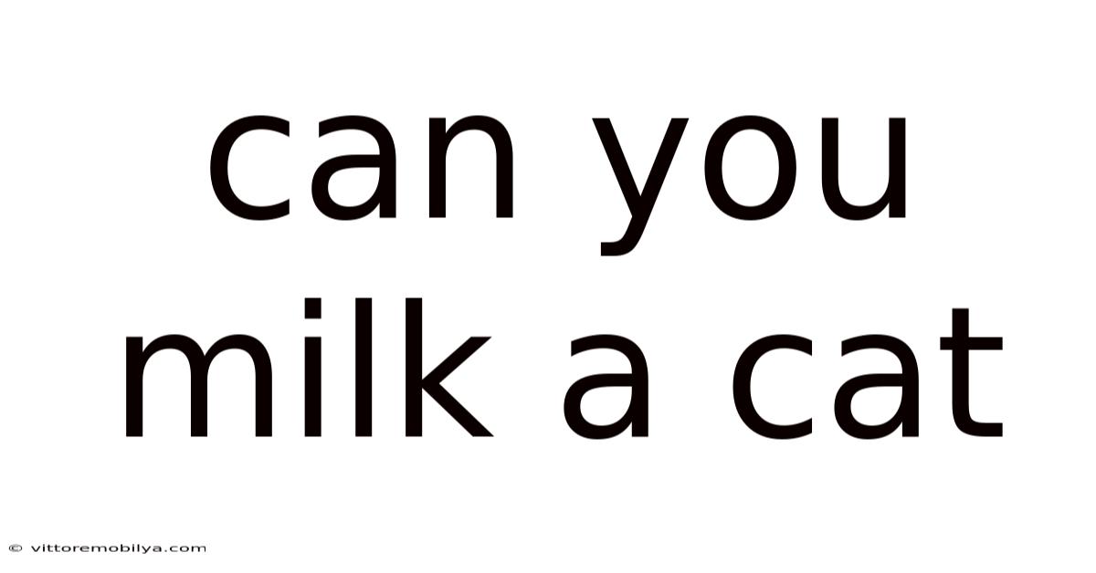 Can You Milk A Cat