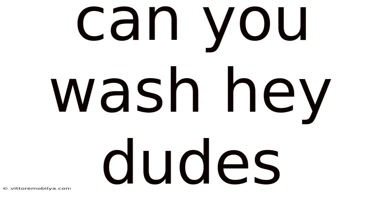Can You Wash Hey Dudes