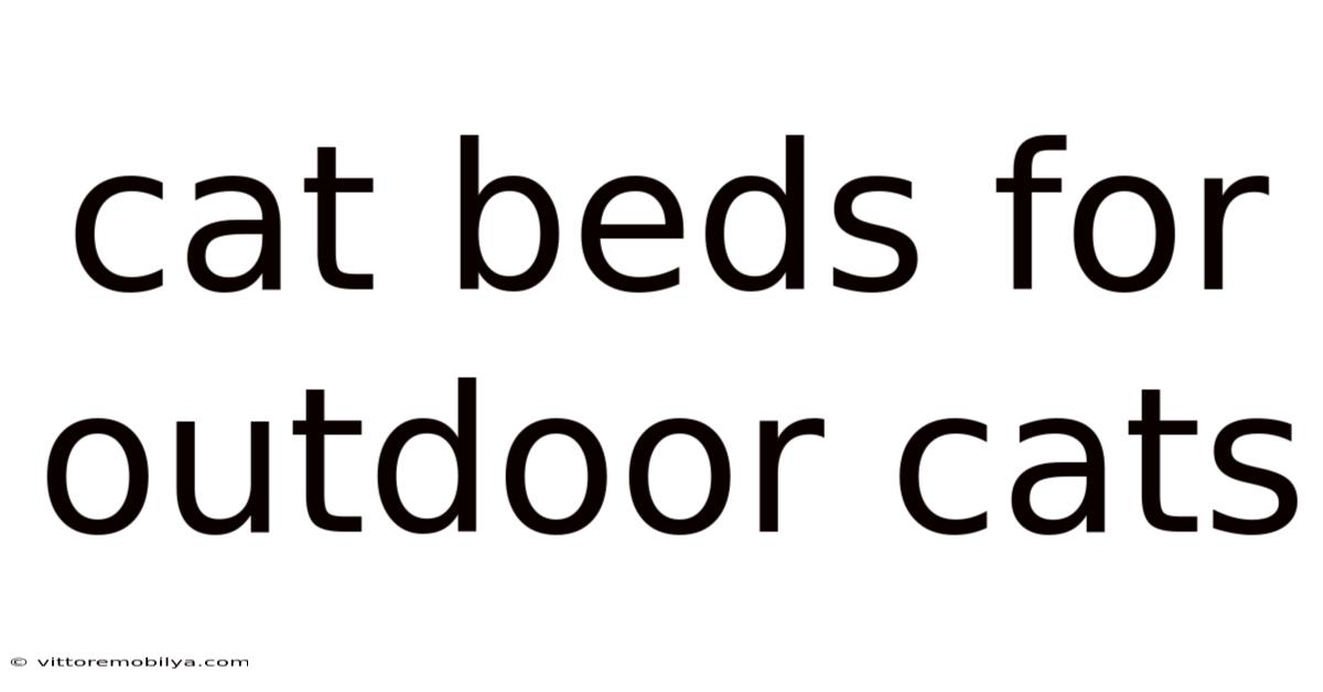 Cat Beds For Outdoor Cats