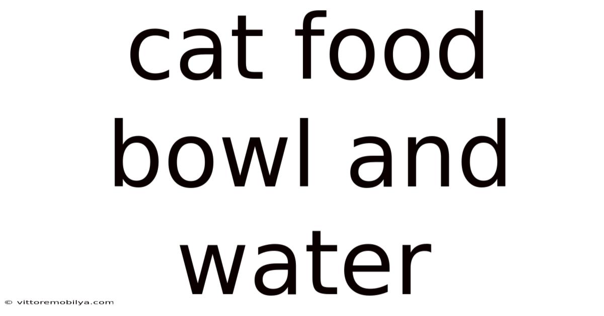 Cat Food Bowl And Water